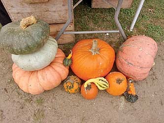 Last Hodag Farmers' Market of the year to be held Saturday