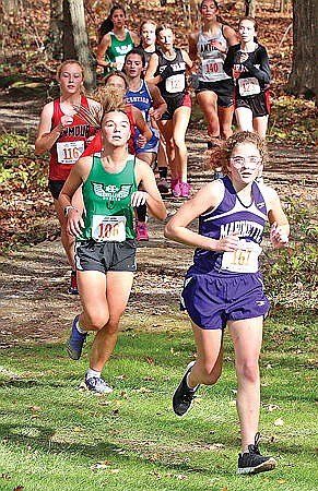 Hodag girls take 9th at sectionals