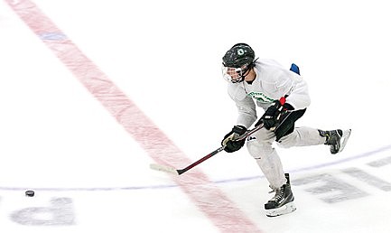 Team preview: RHS boys' hockey