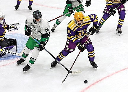 Hodag hockey opens 1-2