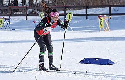 Team preview: RHS Nordic skiing