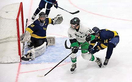 Joe Schneider returns, scores twice in Hodag hockey win