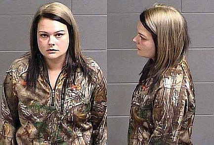 Sayner woman pleads guilty to theft in business setting