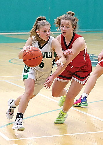 Brown's career high leads Lady Hodags past Medford
