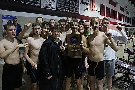 Sectional sensations
