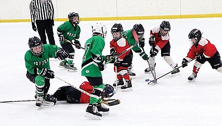 Photo: Mighty mites 