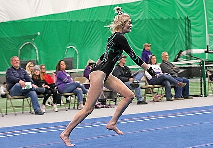 Gymnastics: Short-handed Hodags fall to Mosinee
