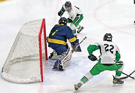 Hodag hockey survives and advances