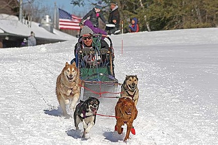 Dashing through the snow