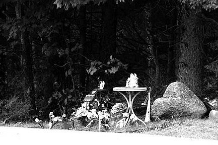 Photo detail