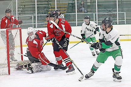 Team review: RHS boys' hockey
