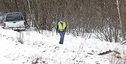 Fawn Lake Road Accident 