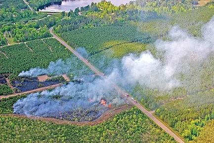 Wildfire burns almost 10 acres in Little Rice