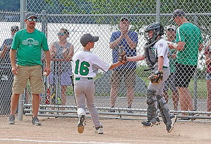 Little Leaguers advance in district play