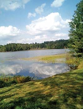 Oneida County forestry committee gets update on Town Line Lake Park