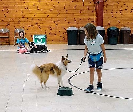 Oneida County 4-H to hold open house Sept. 25