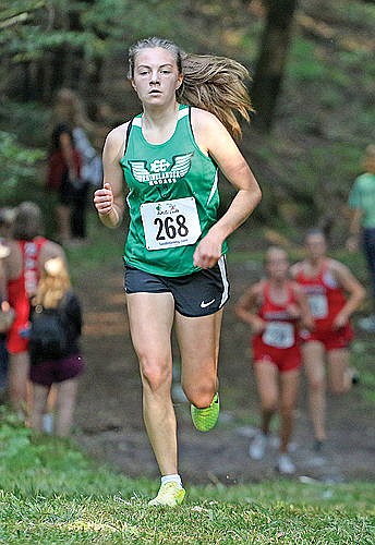 Hodag harriers take 2nd at Gartzke