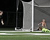 Tease photo
