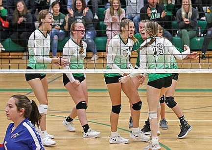 Team review: RHS volleyball