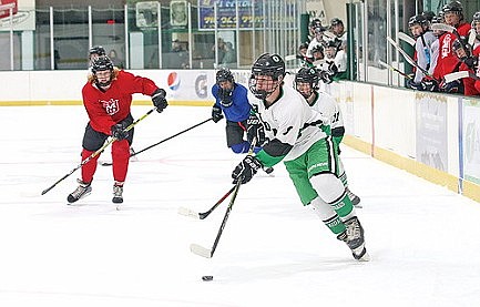 Team preview: RHS boys' hockey