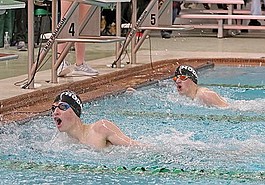 Lead photo