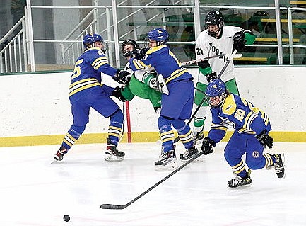 Hodag hockey runs into Flivver firewall, shut out 3-0