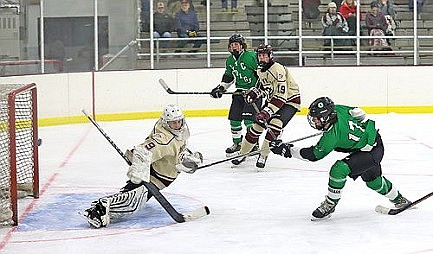 Hodag hockey overcomes slow start, secures home GNC tourney game