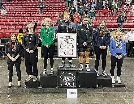 Hodags' Swanson takes 3rd at state wrestling