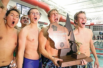 Team review: RHS boys' swimming